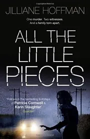 All the Little Pieces