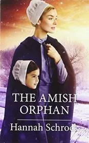The Amish Orphan