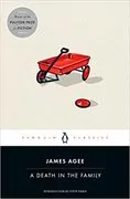 Cover of A Death in the Family