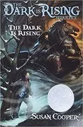The Dark is Rising